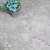 SPC ламинат Evofloor Stone Everest S049