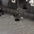 ПВХ кварцвиниловая плитка Alpine Floor PARQUET Light ВЕНГЕ ГРЕЙ ЕСО 13-8