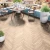 ПВХ кварцвиниловая плитка Alpine Floor PARQUET Light МАКАДАМИЯ ЕСО 13-10