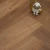 SPC ламинат Evofloor Parquet Rodsher (Родшер) P3008-5