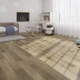 SPC ламинат Steinholz Prime Фердинанд (Ferdinand) STH032